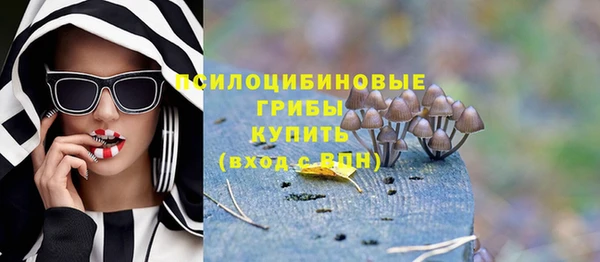синтетический гашиш Анжеро-Судженск