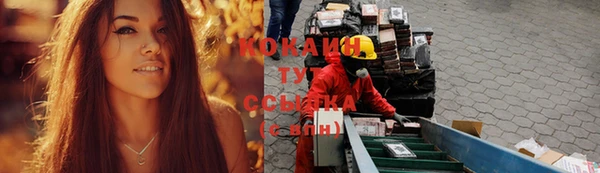 ПСИЛОЦИБИНОВЫЕ ГРИБЫ Наволоки
