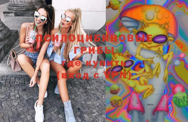 ПСИЛОЦИБИНОВЫЕ ГРИБЫ Наволоки