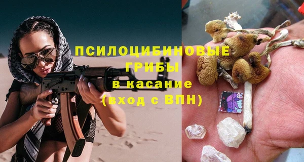 ПСИЛОЦИБИНОВЫЕ ГРИБЫ Наволоки