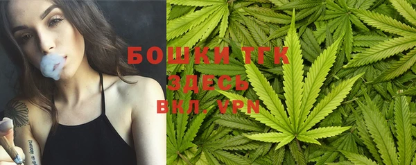 ПСИЛОЦИБИНОВЫЕ ГРИБЫ Наволоки
