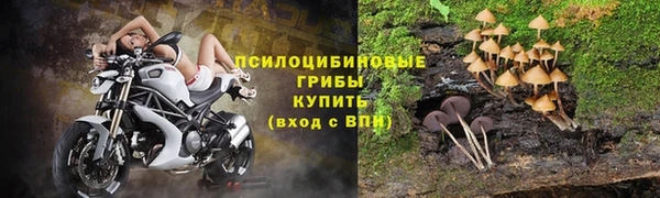 таблы Надым