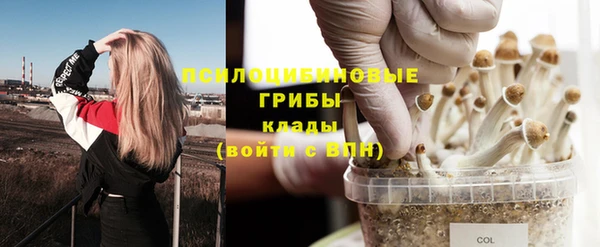 таблы Надым