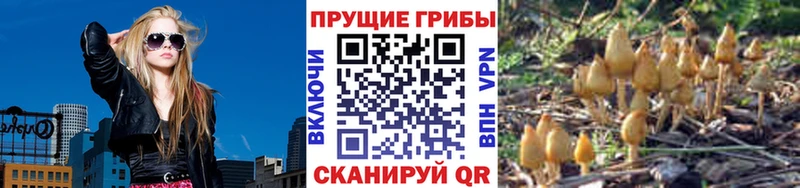 shop наркотические препараты Тетюши Галлюциногенные грибы GOLDEN TEACHER
